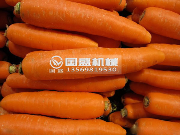 榴莲视频IOS污胡萝卜脱水挤压机 榴莲视频IOS污胡萝卜脱水挤压机