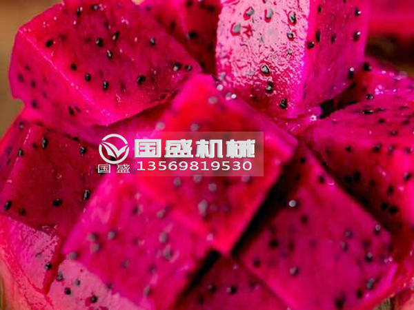 榴莲视频IOS污火龙果挤压脱水设备